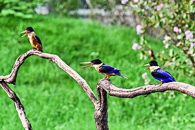 P社沙盒探索游戏《星际矿工》预告 明年发售