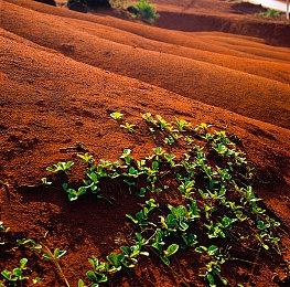国产机甲游戏《解限机》新预告 8月面向Xbox开测